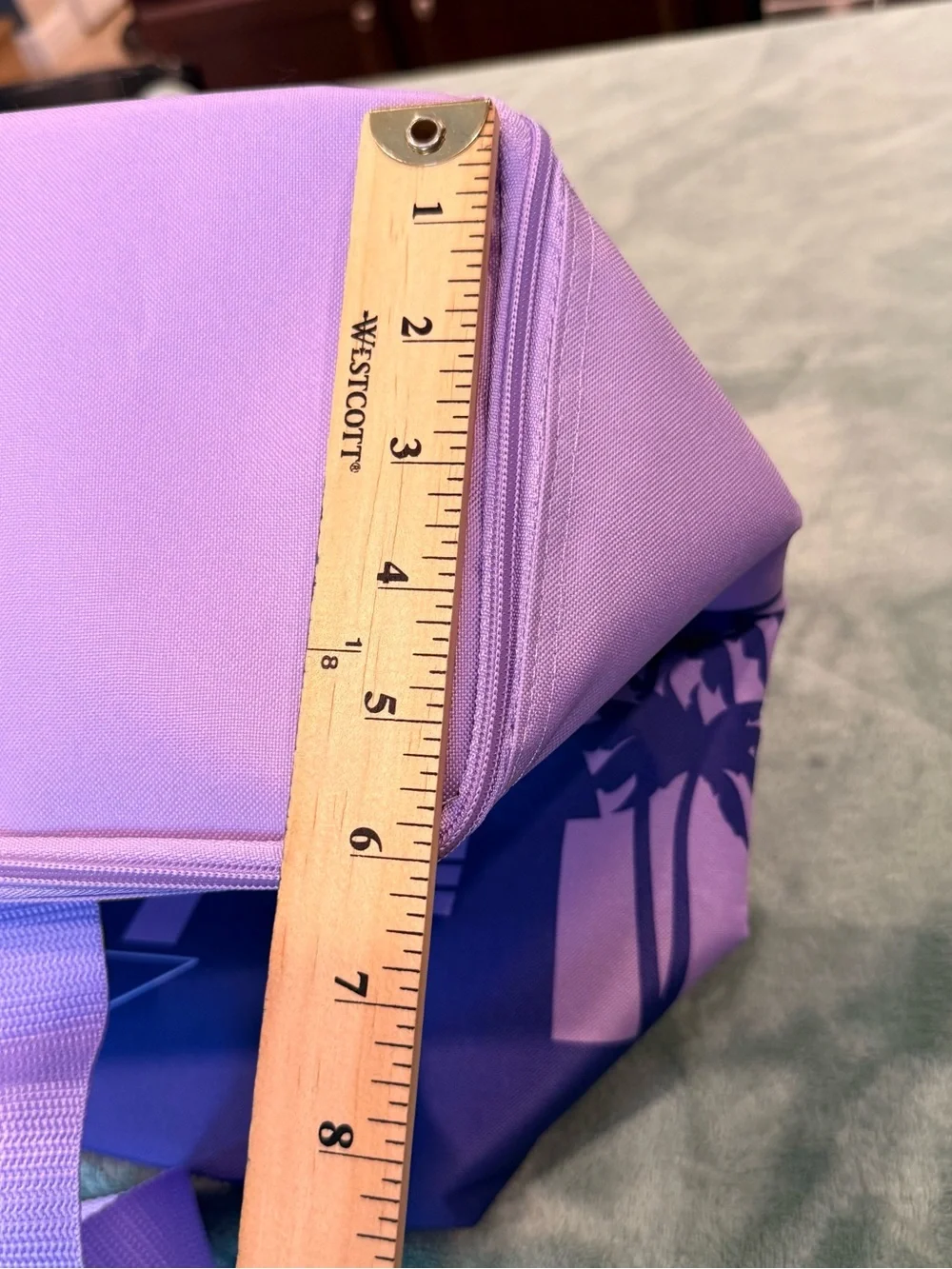 Trader Joe’s Pasadena 1967 Insulated Cooler Tote Bag Purple Zip Beach Picnic